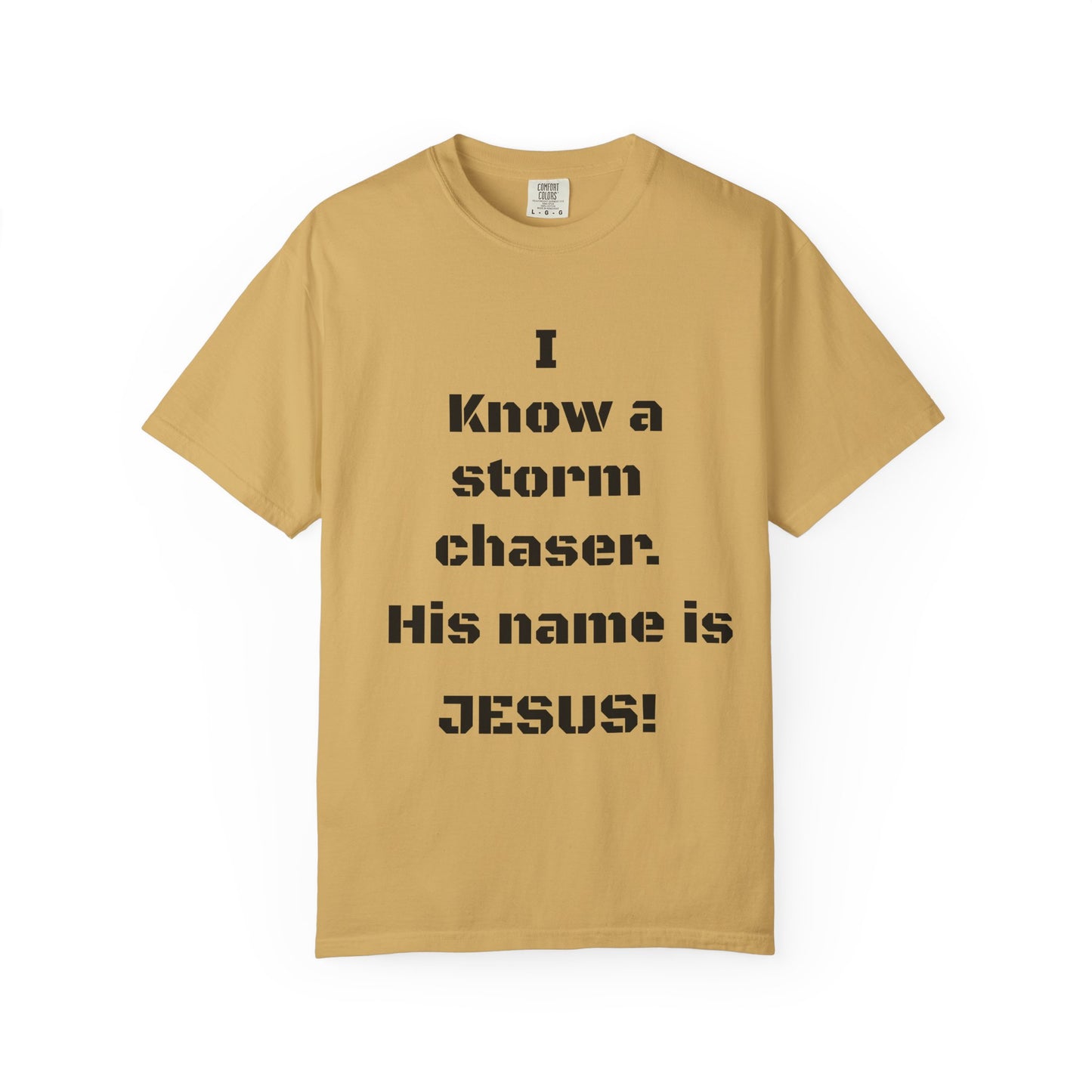 Religious Humor T-Shirt, Christian Gift, Bible Verse Apparel, Faith-Based Fashion, Casual Wear, Gift for Believers