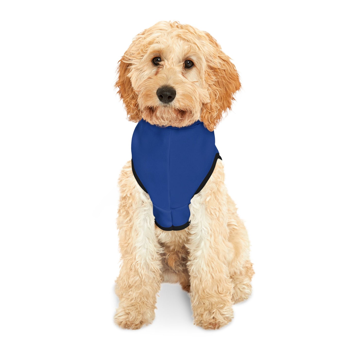 πΎ Cozy Holiday Pet Hoodie β Cute Christmas Dog Sweater, Warm & Stylish Outfit for Festive Fun