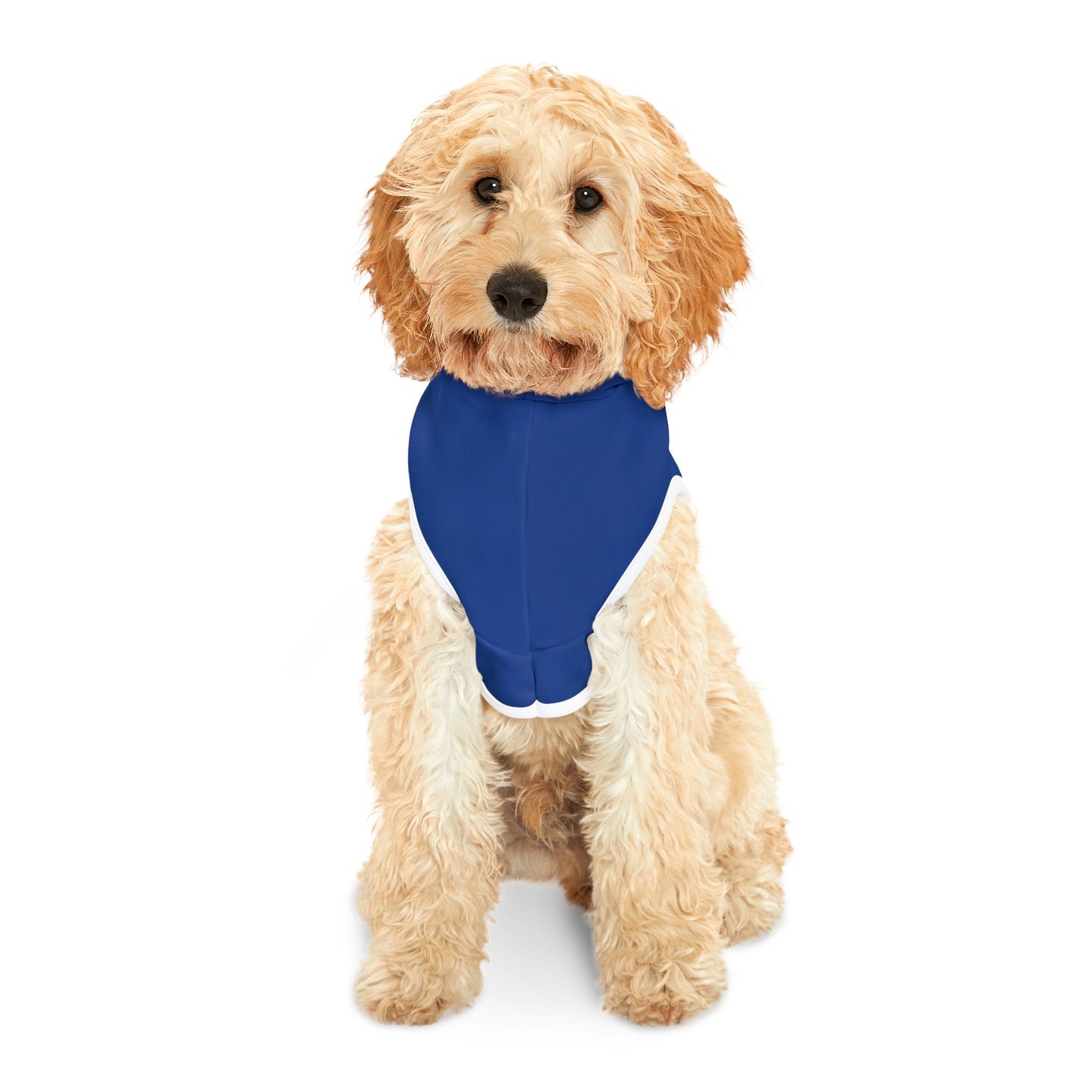 πΎ Cozy Holiday Pet Hoodie β Cute Christmas Dog Sweater, Warm & Stylish Outfit for Festive Fun