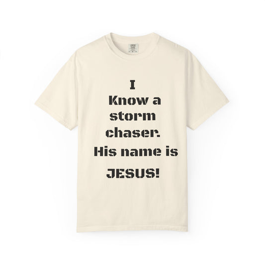 Religious Humor T-Shirt, Christian Gift, Bible Verse Apparel, Faith-Based Fashion, Casual Wear, Gift for Believers